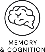 Memory & Cognition