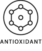 Antioxidant