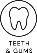 Teeth & Gums