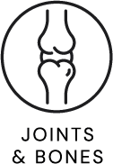Joints & Bones